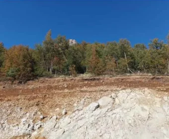 D_NQ_NP_2X_719433-MLC80799274699_112024-F-venta-terreno-linares-fundo-la-selva-lote-12