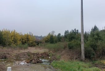 WhatsApp Image 2025-04-03 at 12.43.26-2