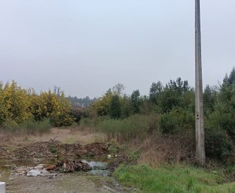 WhatsApp Image 2025-04-03 at 12.43.26-2